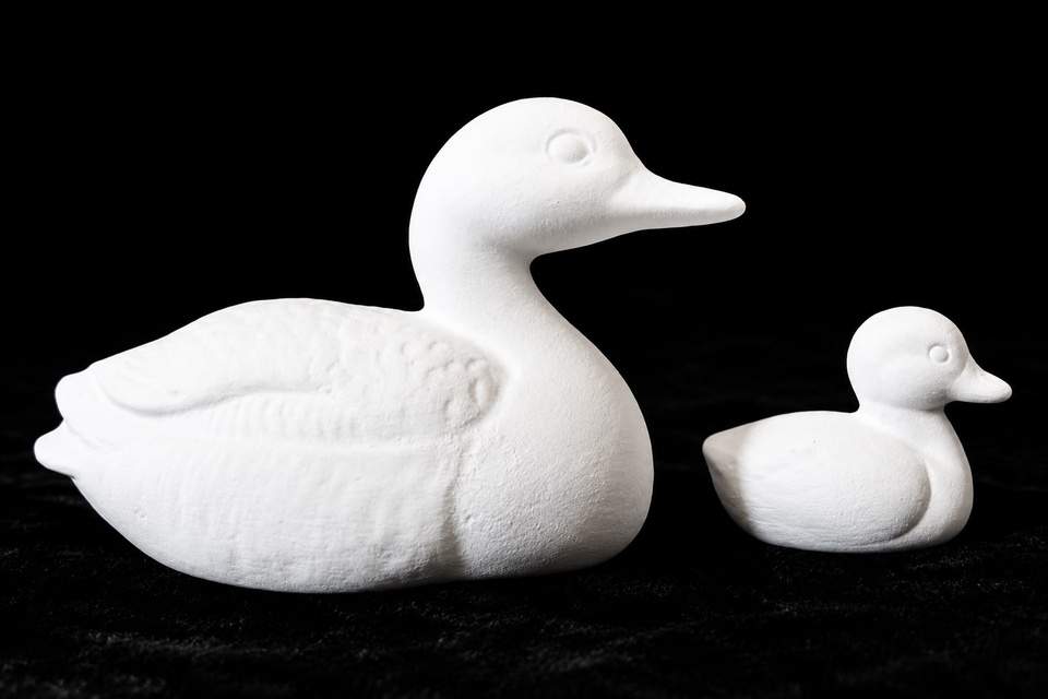 Ducks - Mama & Baby