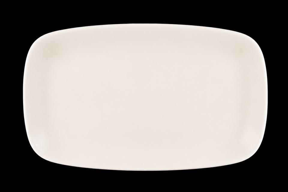 Platter - Sushi - Rectangular Large