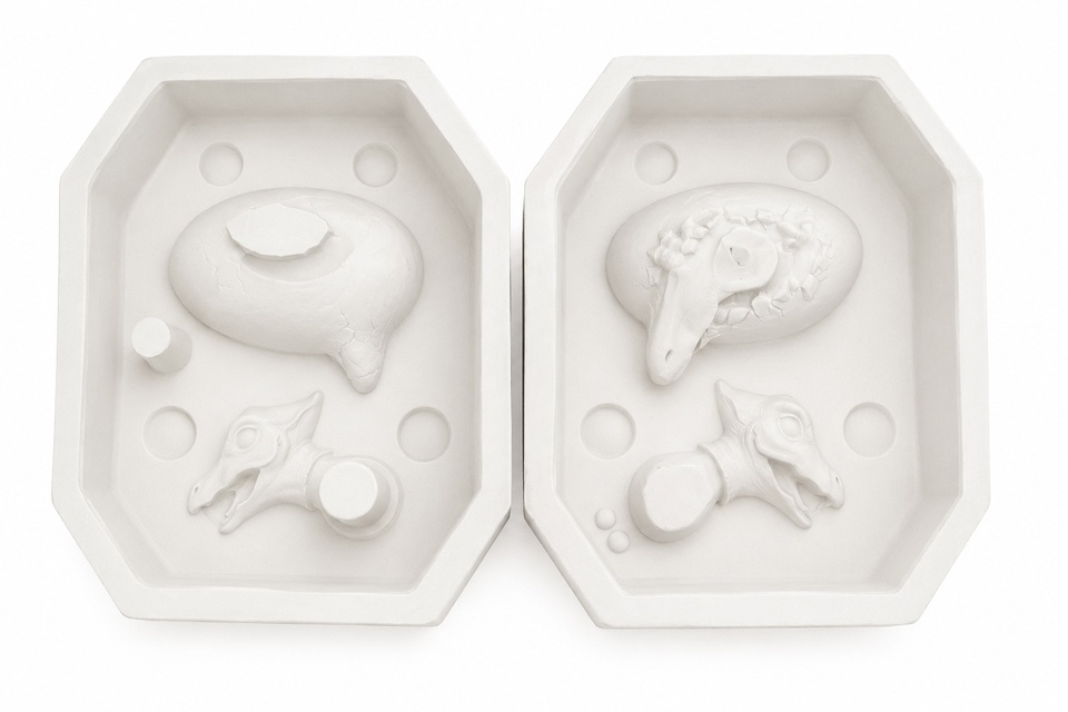 Dinosaur In Egg