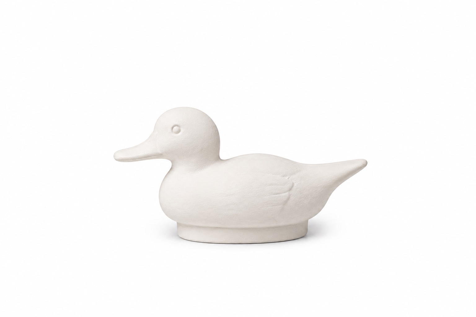 Duck Small Pintail