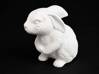 Bunny - Real - Up