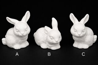 Bunnies - 3 Little Real