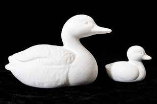 Ducks - Mama & Baby