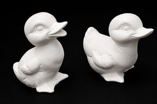 Ducklings - Two