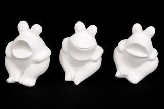 Frog - Sitting 3 (Set)