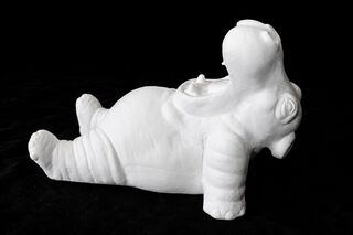 Hippo on Back