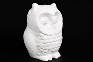 Owl - Small Feathered