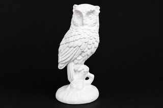 Owl - Small on Branch