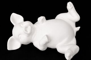 Pig on Back Looking Up