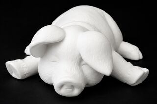 Pig on Tummy