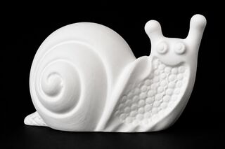 Snail