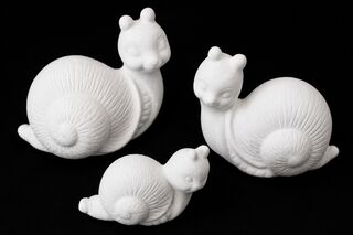 Snails