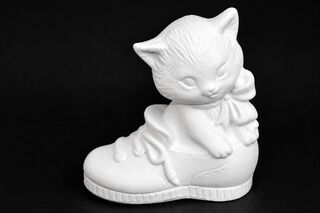 Tiny Kitten in Shoe