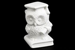 Owl - Tiny Learned Owl