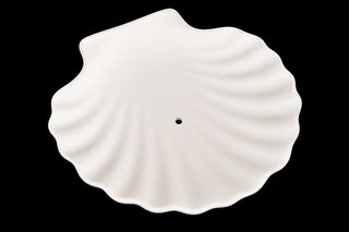 Soap Dish - Shell