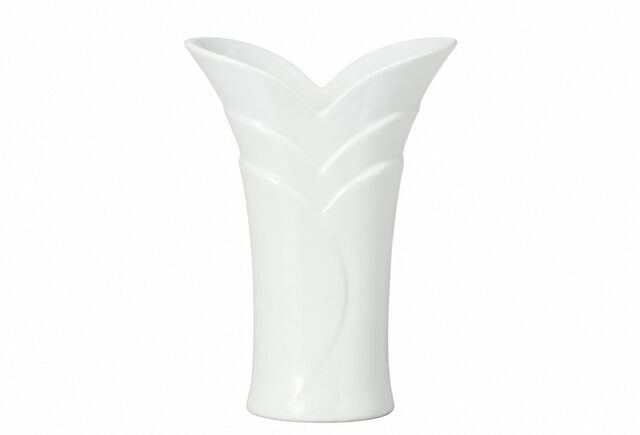Vase Deisgner 1