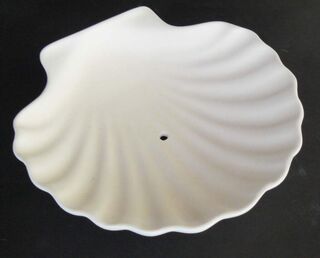 Shell Dish