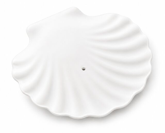 Shell Dish