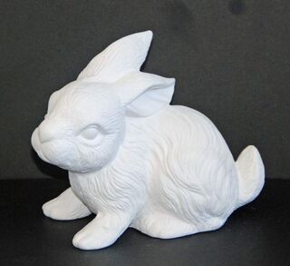 Bunny Down Real