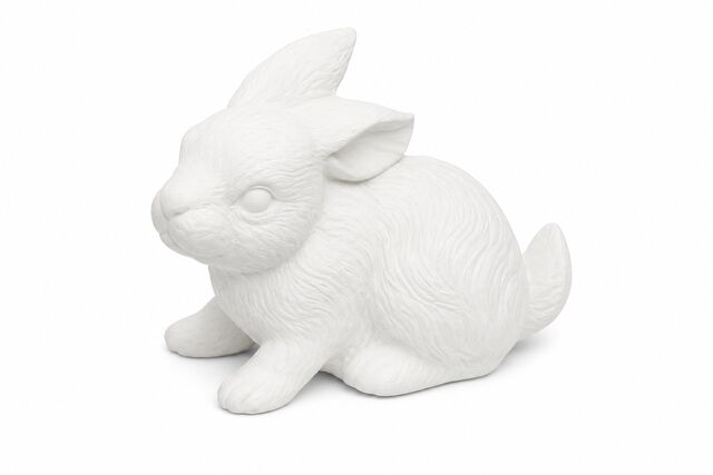 Bunny Down Real