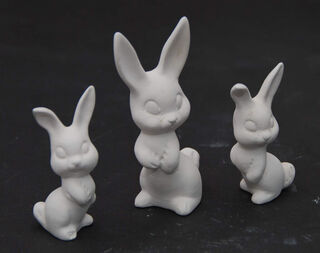 Bunny Family