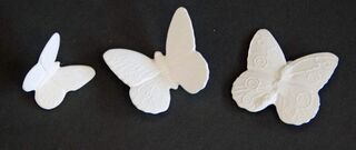 Butterflies