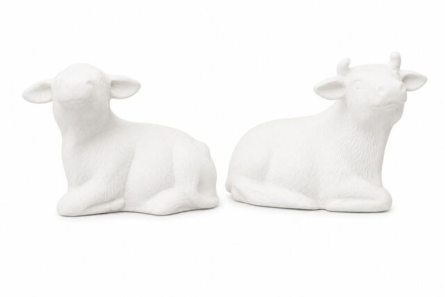 Cows Two Lying