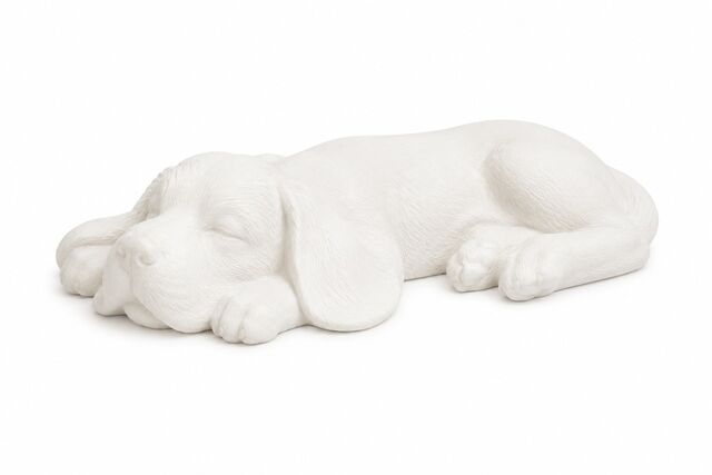 Dog Flat Out