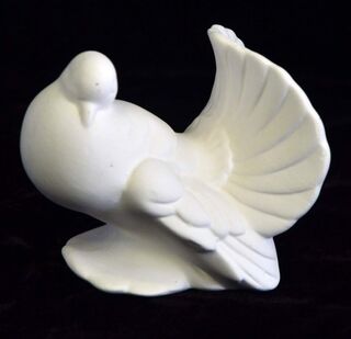 Dove Female Med Love
