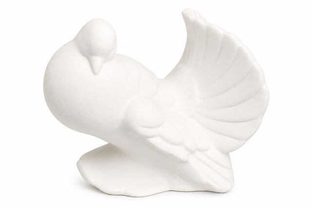 Dove Female Med Love