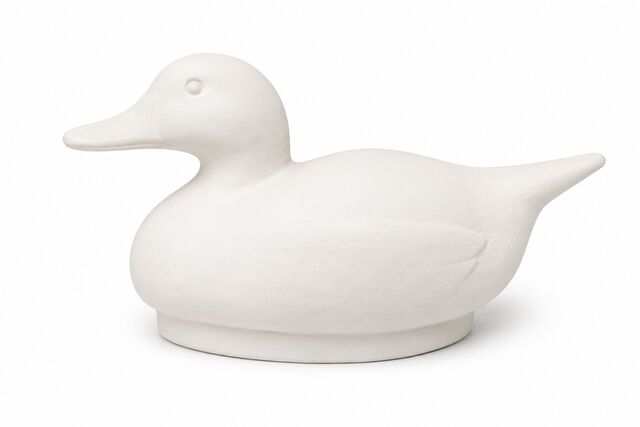 Duck Med Pintail