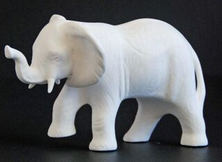 Elephant Young
