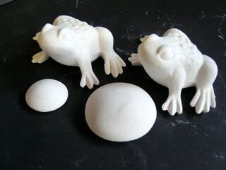 Frogs & Mushrooms