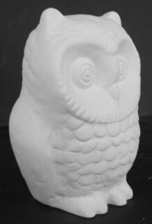 Owl Small Feathered
