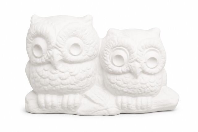 Owls Skunk Snails & Frog