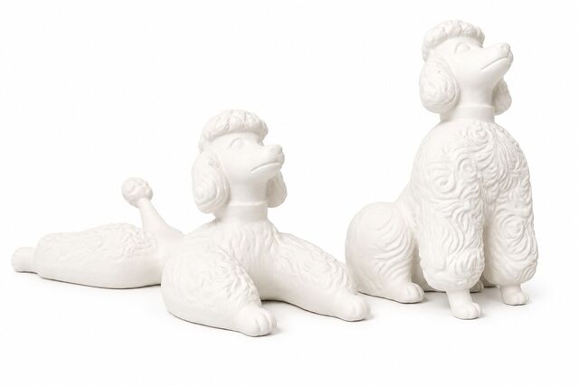 Dogs Poodles Miniature