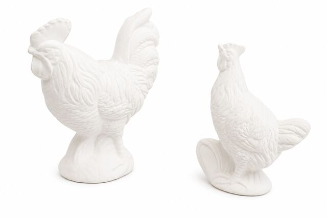 Rooster Hen & Chicks