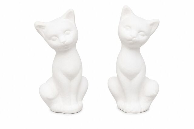 Cats Siamese