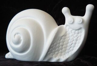 Snail PP