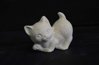 Kitten Tiny Kitten