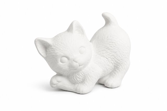 Kitten Tiny