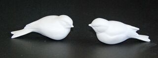 Two Birds