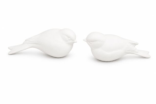 Two Birds