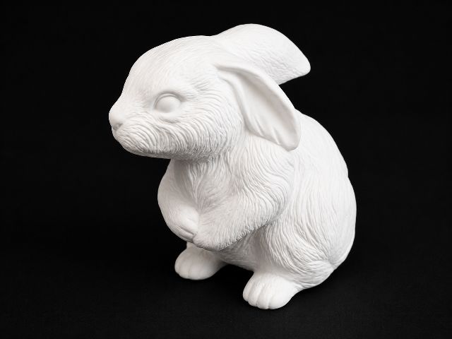 Bunny - Real - Up