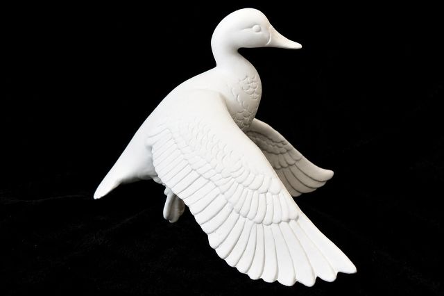 Duck Flying Wings Down
