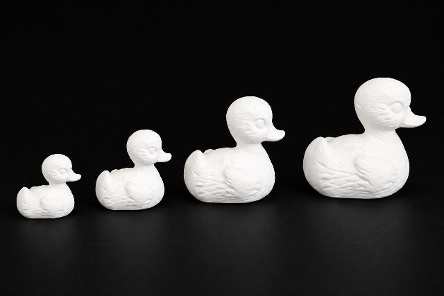 Ducks - Four Small