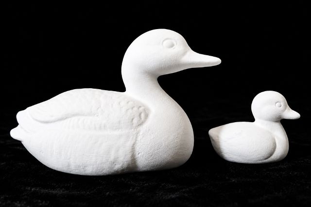 Ducks - Mama & Baby
