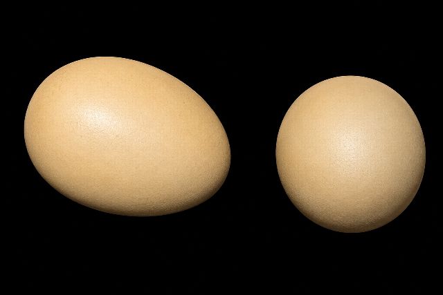 Eggs - Standing Upright