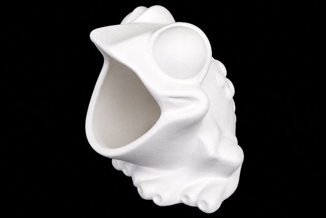 Frog Soap Holder