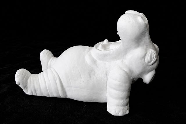 Hippo on Back